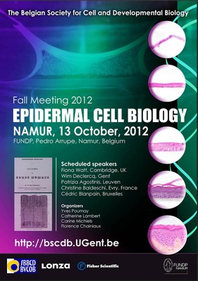 Epidermal Cell Biology