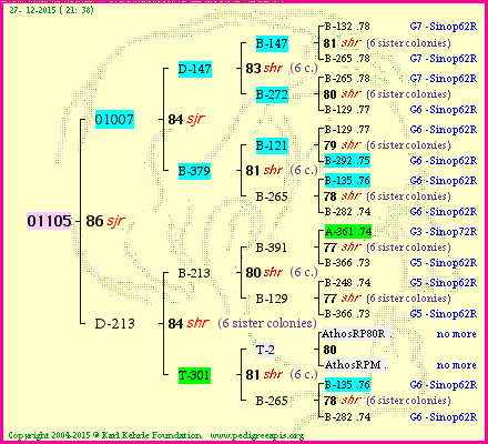 Pedigree of 01105 :
four generations presented