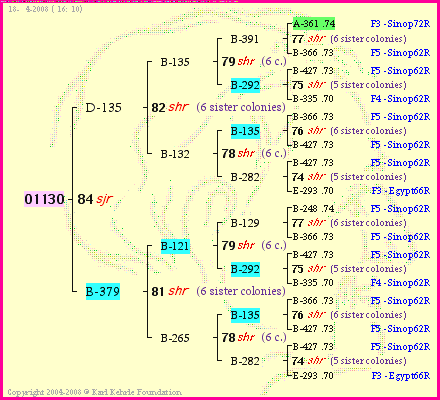 Pedigree of 01130 :
four generations presented