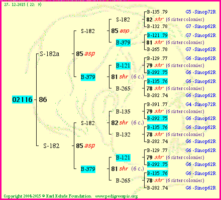 Pedigree of 02116 :
four generations presented