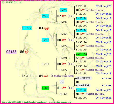 Pedigree of 02133 :
four generations presented