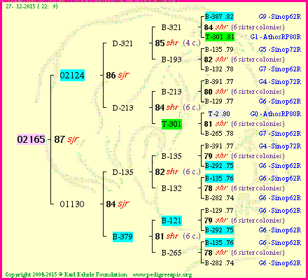 Pedigree of 02165 :
four generations presented