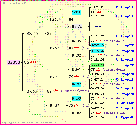 Pedigree of 03050 :
four generations presented