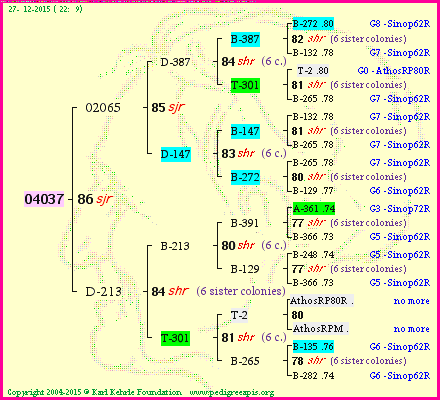 Pedigree of 04037 :
four generations presented