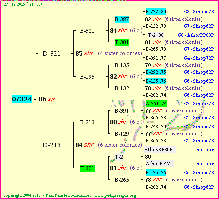 Pedigree of 07324 :
four generations presented