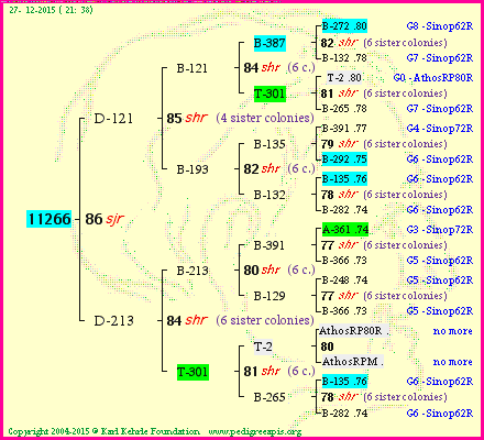 Pedigree of 11266 :
four generations presented