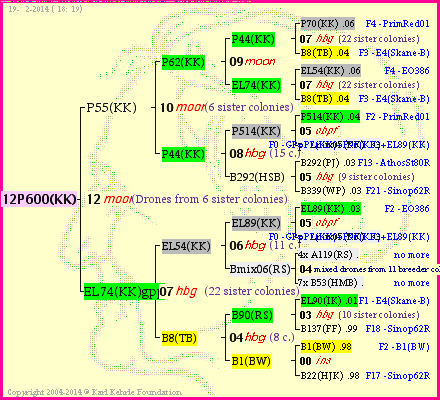 Pedigree of 12P600(KK) :
four generations presented