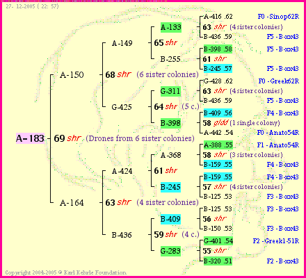 Pedigree of A-183 :
four generations presented