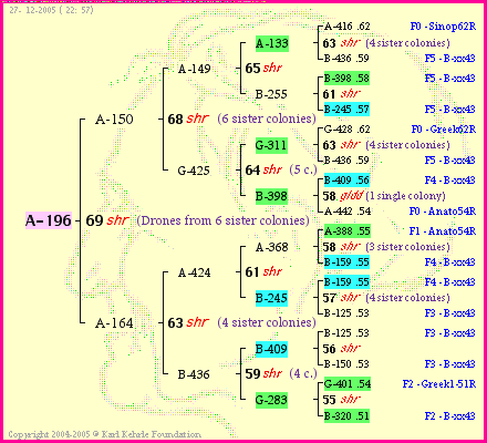 Pedigree of A-196 :
four generations presented