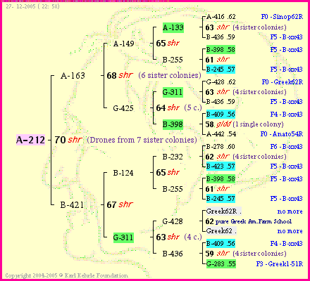 Pedigree of A-212 :
four generations presented