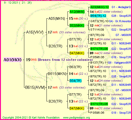 Pedigree of A01(VKV) :
four generations presented
it's temporarily unavailable, sorry!