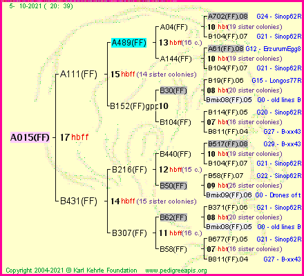 Pedigree of A015(FF) :
four generations presented
it's temporarily unavailable, sorry!