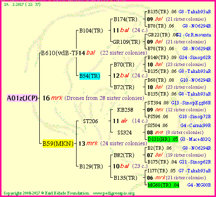 Pedigree of A01z(JCP) :
four generations presented