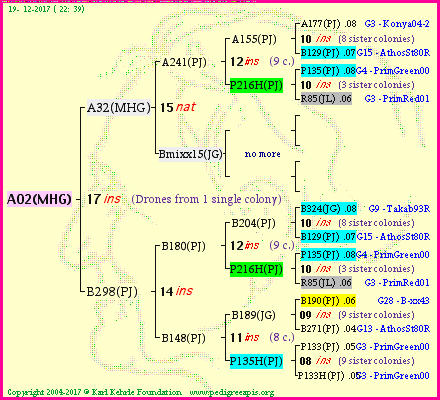 Pedigree of A02(MHG) :
four generations presented<br />it's temporarily unavailable, sorry!