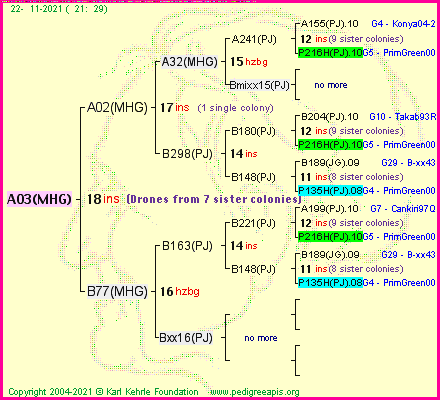 Pedigree of A03(MHG) :
four generations presented
it's temporarily unavailable, sorry!