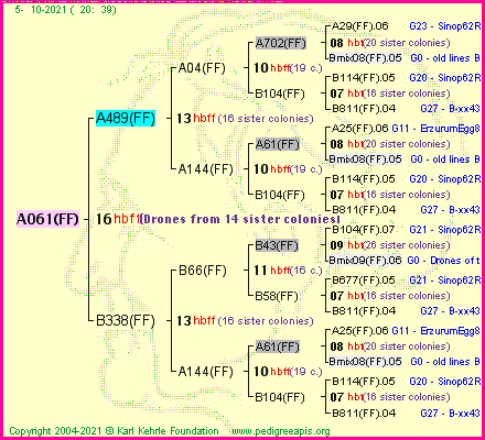 Pedigree of A061(FF) :
four generations presented
it's temporarily unavailable, sorry!