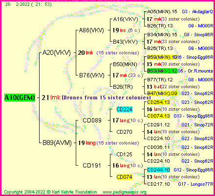 Pedigree of A10(GEM) :
four generations presented
it's temporarily unavailable, sorry!