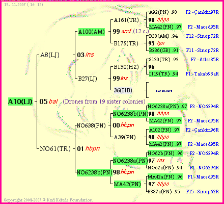 Pedigree of A10(LJ) :
four generations presented
it's temporarily unavailable, sorry!