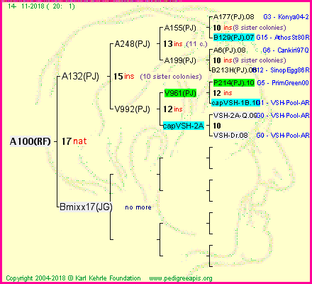 Pedigree of A100(RF) :
four generations presented<br />it's temporarily unavailable, sorry!