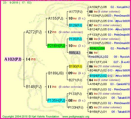 Pedigree of A102(PJ) :
four generations presented<br />it's temporarily unavailable, sorry!