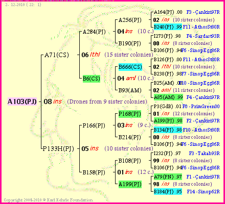 Pedigree of A103(PJ) :
four generations presented