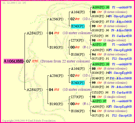 Pedigree of A106(JBB) :
four generations presented