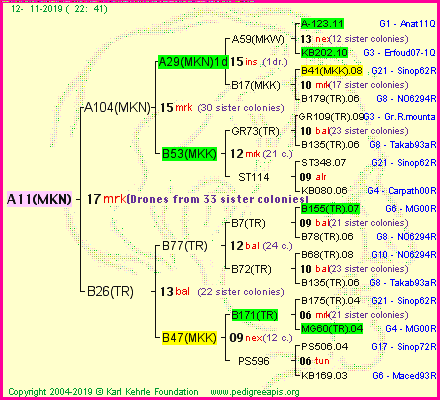 Pedigree of A11(MKN) :
four generations presented<br />it's temporarily unavailable, sorry!