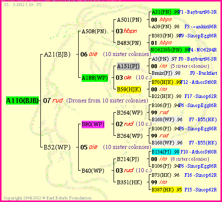 Pedigree of A110(BJB) :
four generations presented