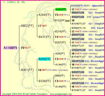 Pedigree of A110(FF) :
four generations presented
it's temporarily unavailable, sorry!