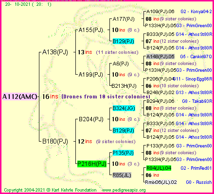 Pedigree of A112(AMC) :
four generations presented
it's temporarily unavailable, sorry!