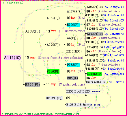 Pedigree of A112(JG) :
four generations presented<br />it's temporarily unavailable, sorry!