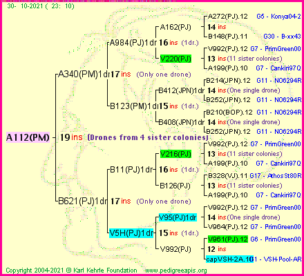 Pedigree of A112(PM) :
four generations presented
it's temporarily unavailable, sorry!