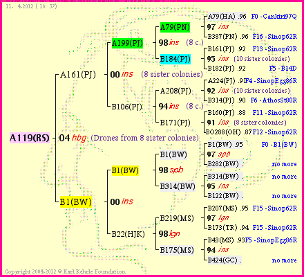 Pedigree of A119(RS) :
four generations presented
it's temporarily unavailable, sorry!