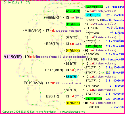 Pedigree of A119(VIP) :
four generations presented
it's temporarily unavailable, sorry!