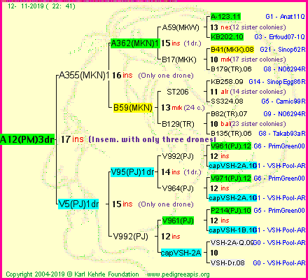 Pedigree of A12(PM)3dr :
four generations presented
it's temporarily unavailable, sorry!