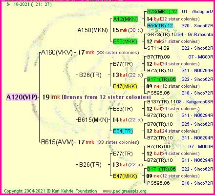 Pedigree of A120(VIP) :
four generations presented
it's temporarily unavailable, sorry!