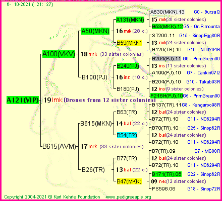 Pedigree of A121(VIP) :
four generations presented
it's temporarily unavailable, sorry!