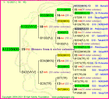 Pedigree of A122(VKV) :
four generations presented
it's temporarily unavailable, sorry!