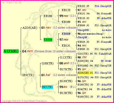 Pedigree of A123(RL) :
four generations presented