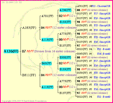 Pedigree of A126(FF) :
four generations presented