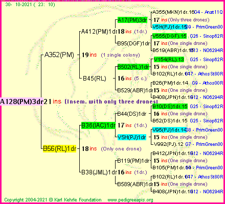 Pedigree of A128(PM)3dr :
four generations presented
it's temporarily unavailable, sorry!