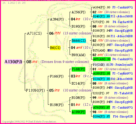 Pedigree of A130(PJ) :
four generations presented