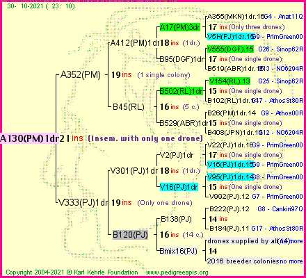 Pedigree of A130(PM)1dr :
four generations presented
it's temporarily unavailable, sorry!