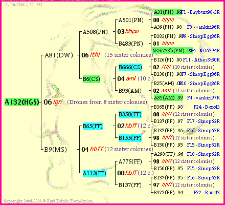 Pedigree of A132(HGS) :
four generations presented
it's temporarily unavailable, sorry!