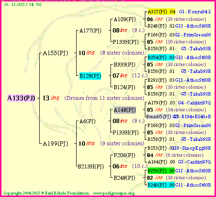 Pedigree of A133(PJ) :
four generations presented<br />it's temporarily unavailable, sorry!