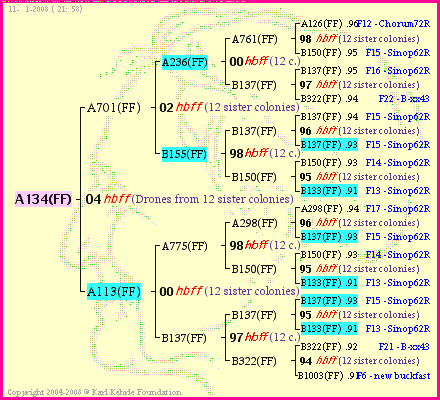 Pedigree of A134(FF) :
four generations presented