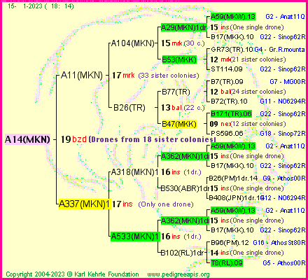 Pedigree of A14(MKN) :
four generations presented
it's temporarily unavailable, sorry!