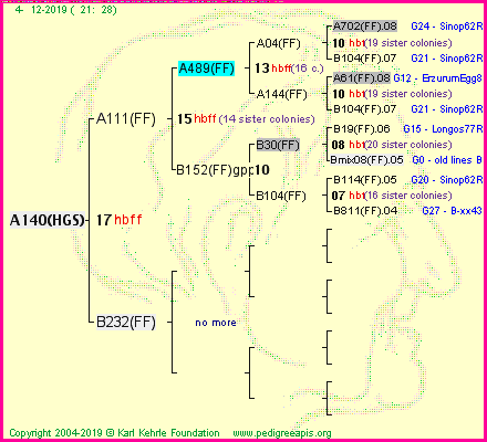 Pedigree of A140(HGS) :
four generations presented<br />it's temporarily unavailable, sorry!