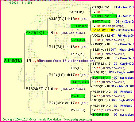 Pedigree of A140(TK) :
four generations presented
it's temporarily unavailable, sorry!