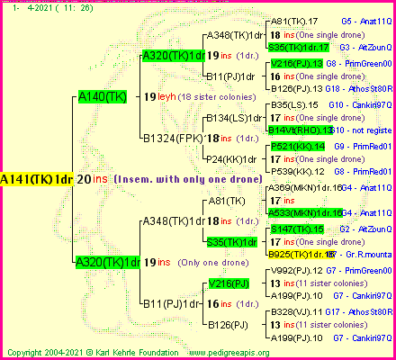 Pedigree of A141(TK)1dr :
four generations presented
it's temporarily unavailable, sorry!